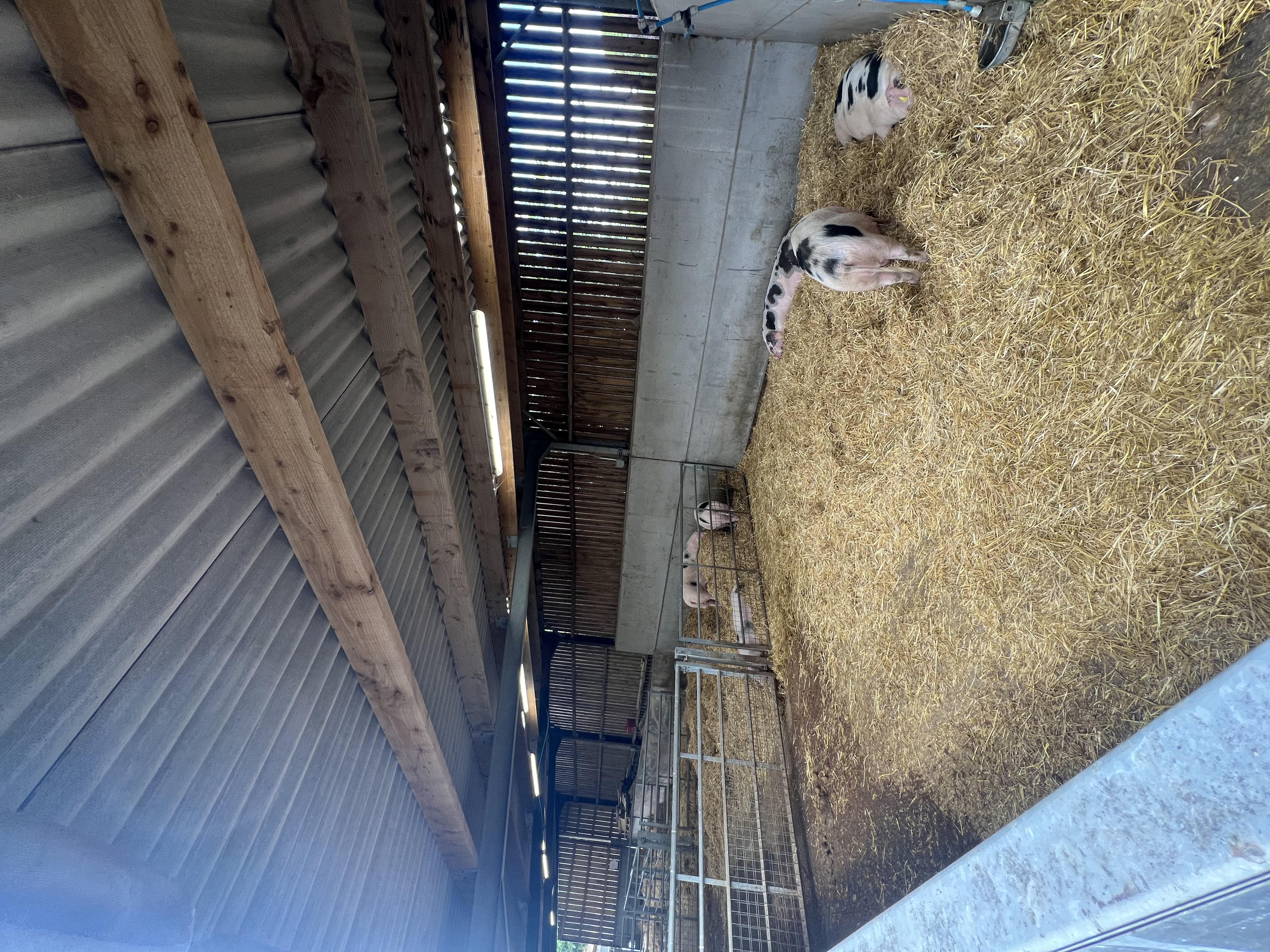 Agricultural and farm electrical work by Upton's Electrical in Shropshire